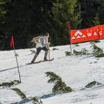 Flotte Kurventechnik beim Nostalgie-Skirennen 2014 in Wagrain